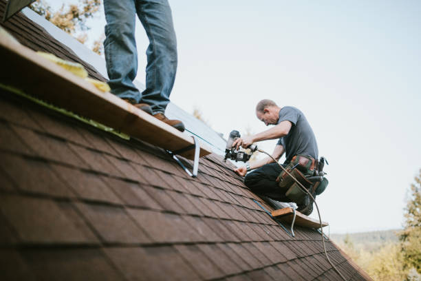 Best Metal Roofing Contractor  in Newton, KS